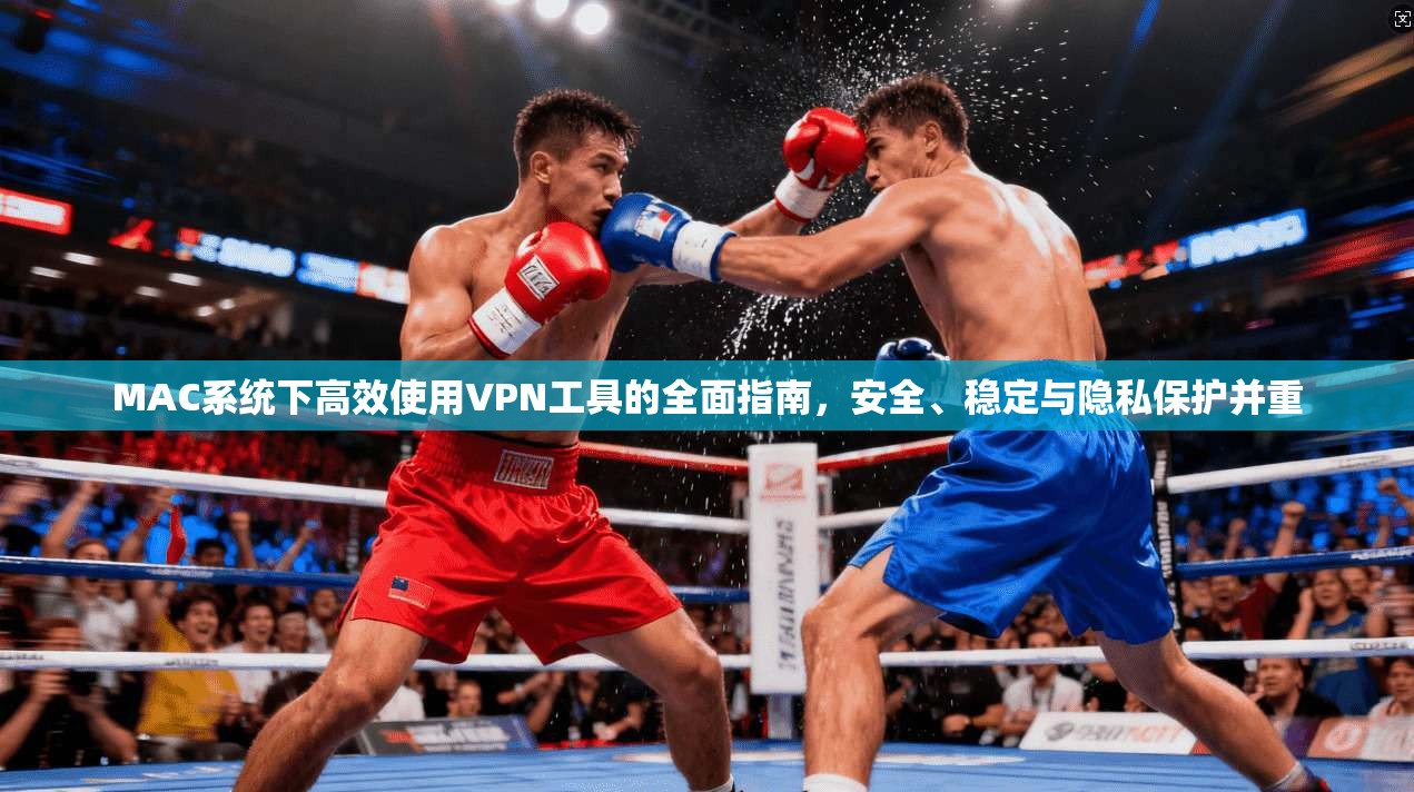 MAC系统下高效使用VPN工具的全面指南，安全、稳定与隐私保护并重