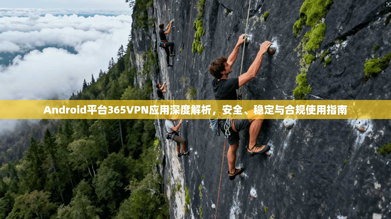Android平台365VPN应用深度解析，安全、稳定与合规使用指南