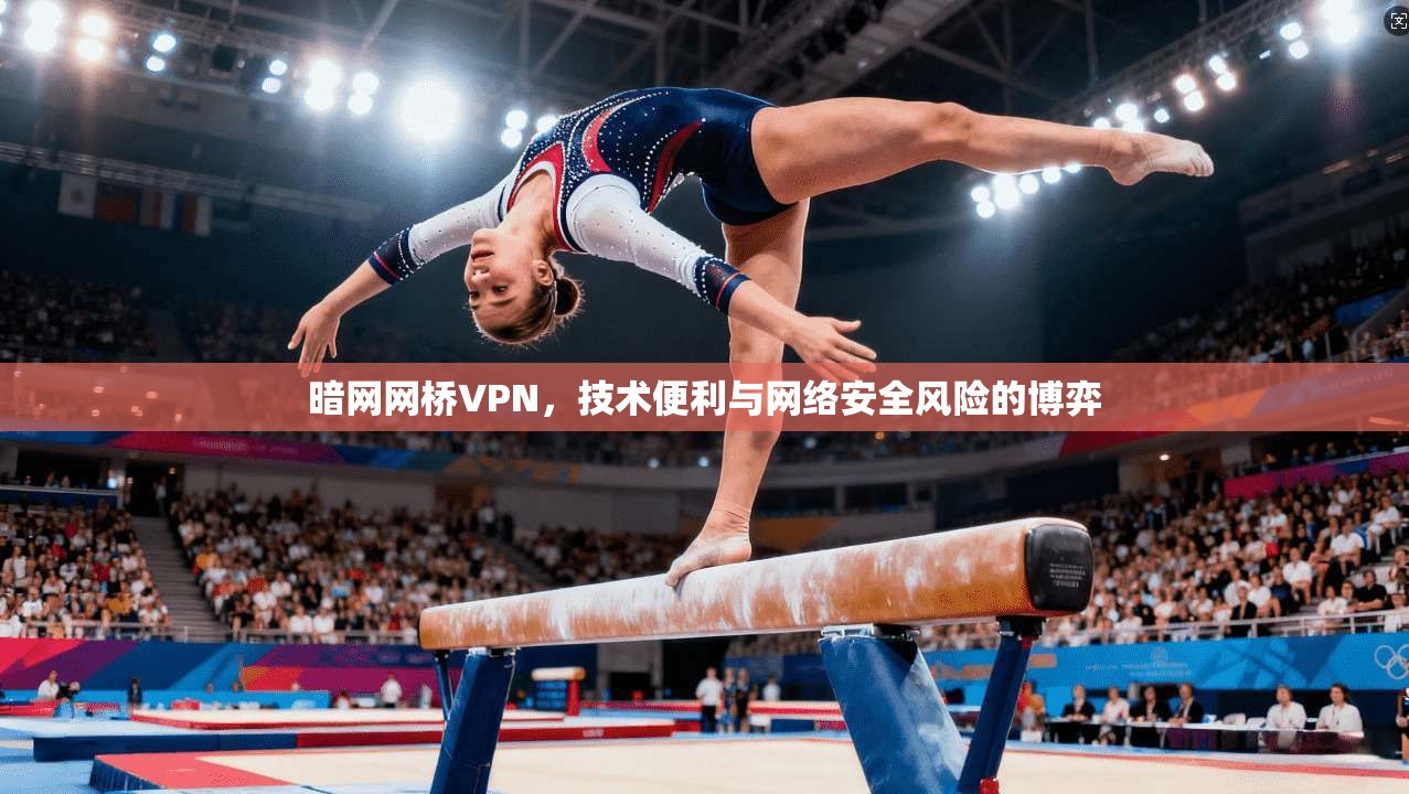 暗网网桥VPN，技术便利与网络安全风险的博弈