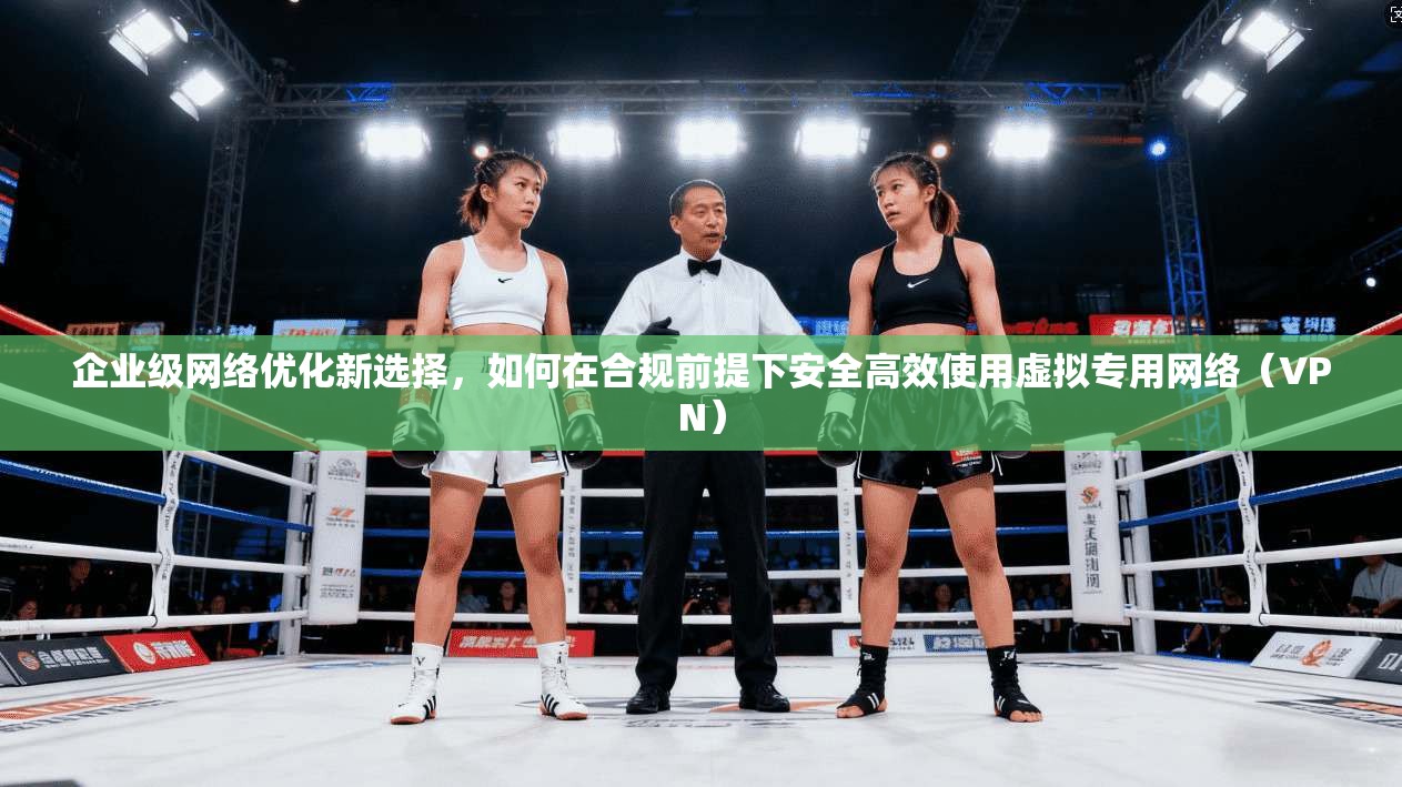 企业级网络优化新选择，如何在合规前提下安全高效使用虚拟专用网络（VPN）