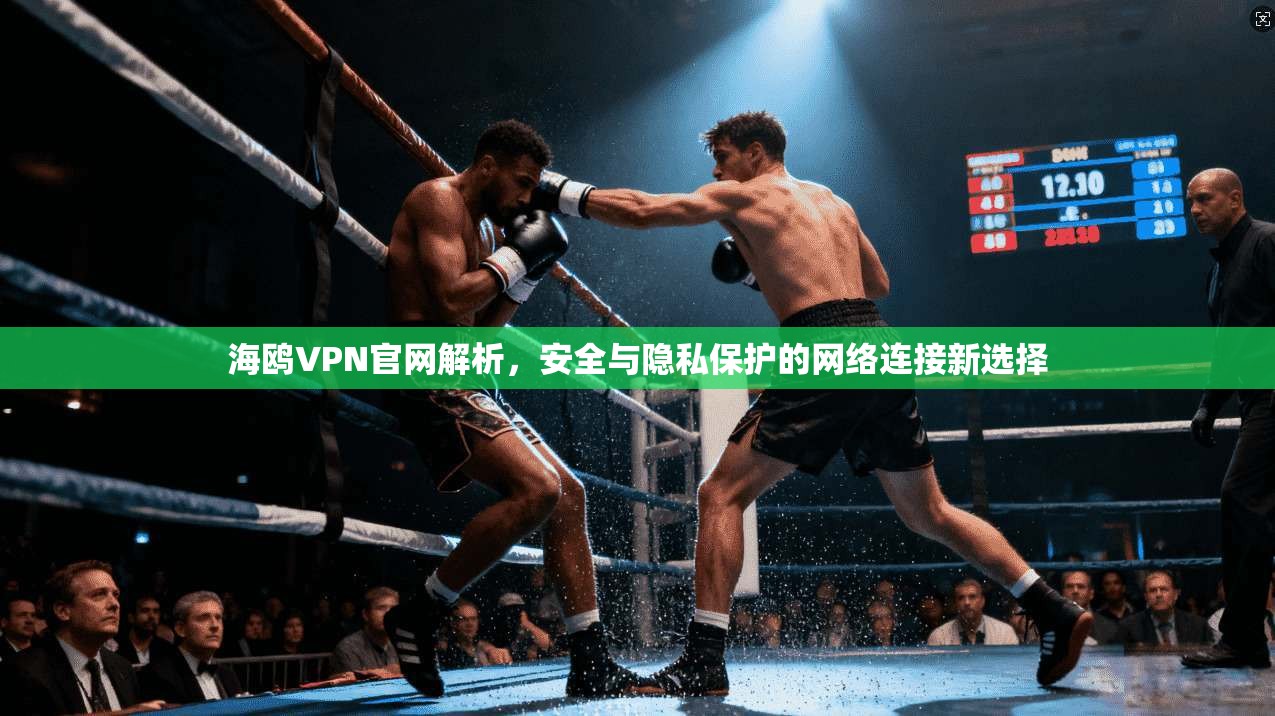 海鸥VPN官网解析,安全与隐私保护的网络连接新选择 海鸥VPN官网解析,安全与隐私保护的网络连接新选择