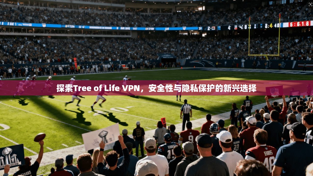 探索Tree of Life VPN，安全性与隐私保护的新兴选择