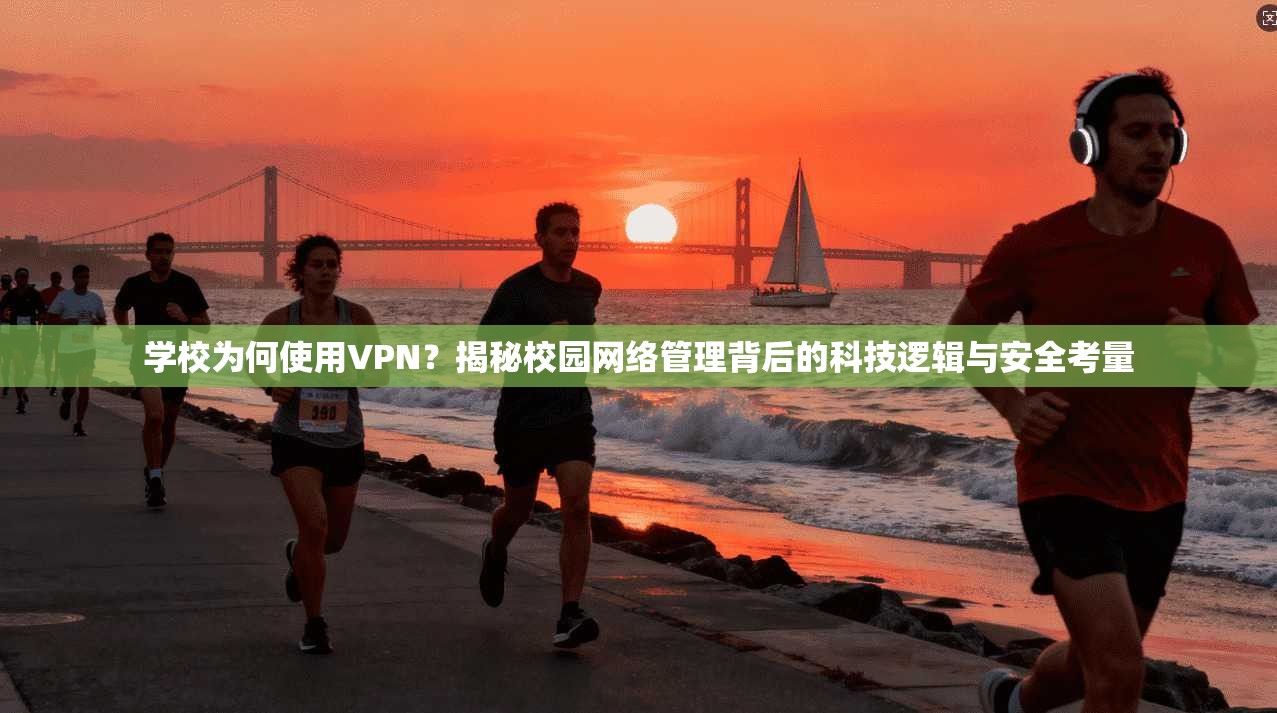 学校为何使用VPN?揭秘校园网络管理背后的科技逻辑与安全考量 学校为何使用VPN?揭秘校园网络管理背后的科技逻辑与安全考量