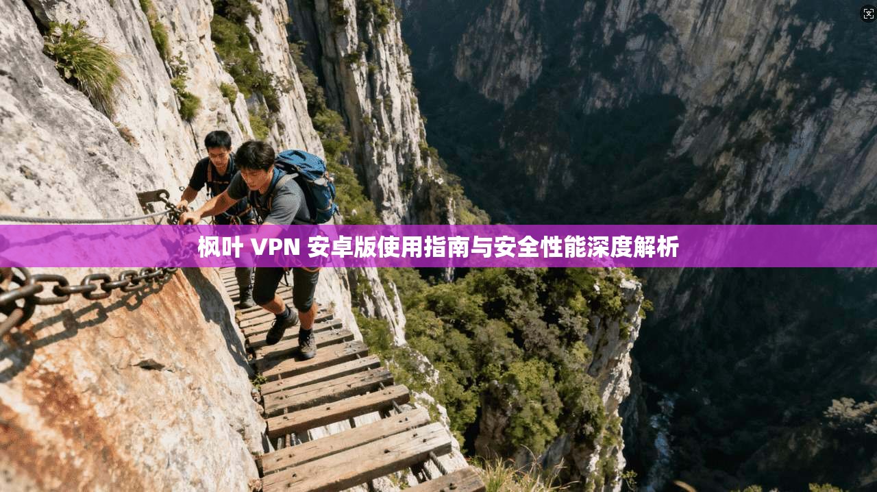 枫叶 VPN 安卓版使用指南与安全性能深度解析
