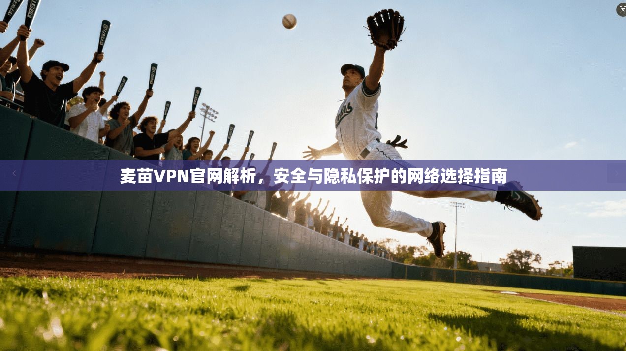麦苗VPN官网解析，安全与隐私保护的网络选择指南
