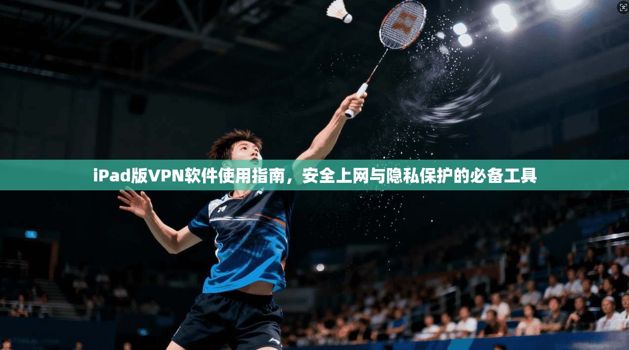 iPad版VPN软件使用指南，安全上网与隐私保护的必备工具