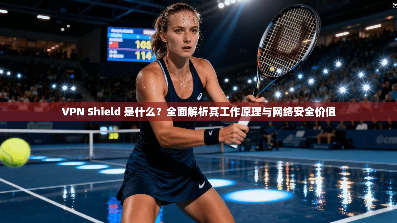 VPN Shield 是什么？全面解析其工作原理与网络安全价值