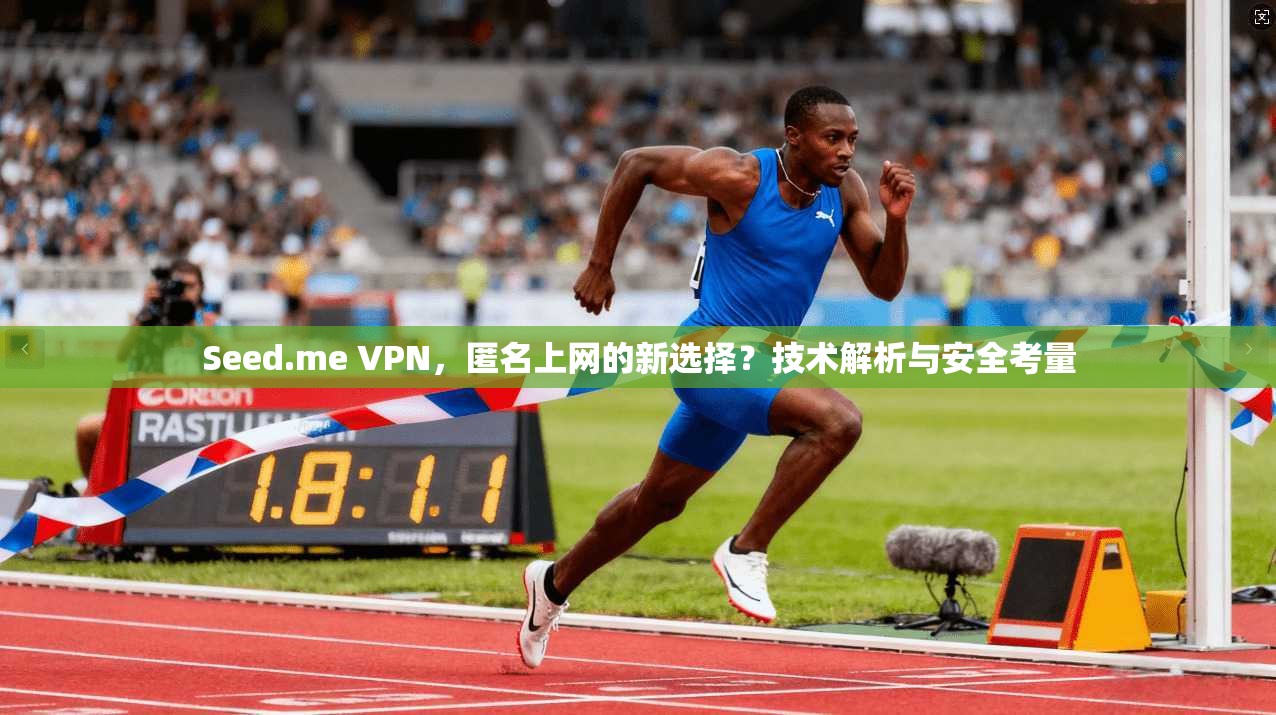 Seed.me VPN,匿名上网的新选择?技术解析与安全考量 Seed.me VPN,匿名上网的新选择?技术解析与安全考量