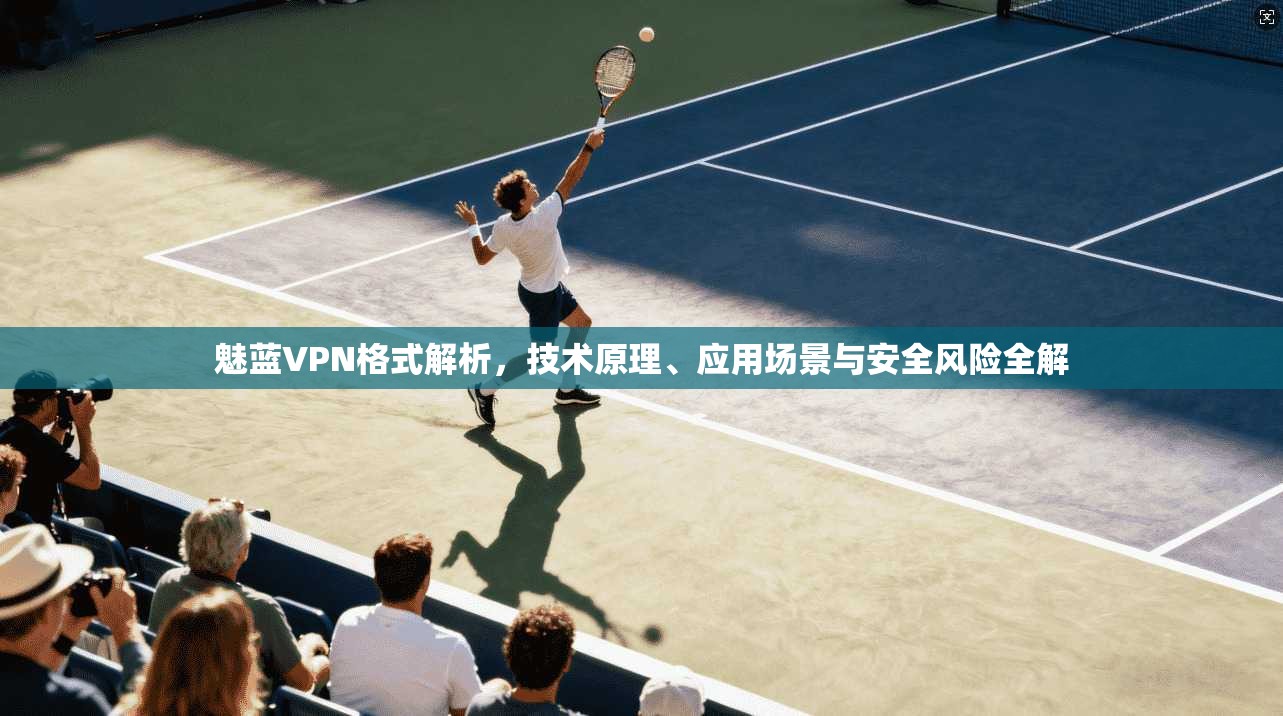魅蓝VPN格式解析，技术原理、应用场景与安全风险全解