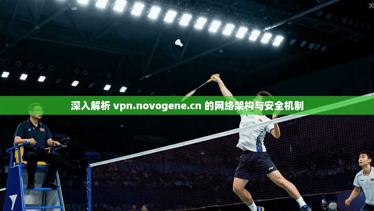 深入解析 vpn.novogene.cn 的网络架构与安全机制