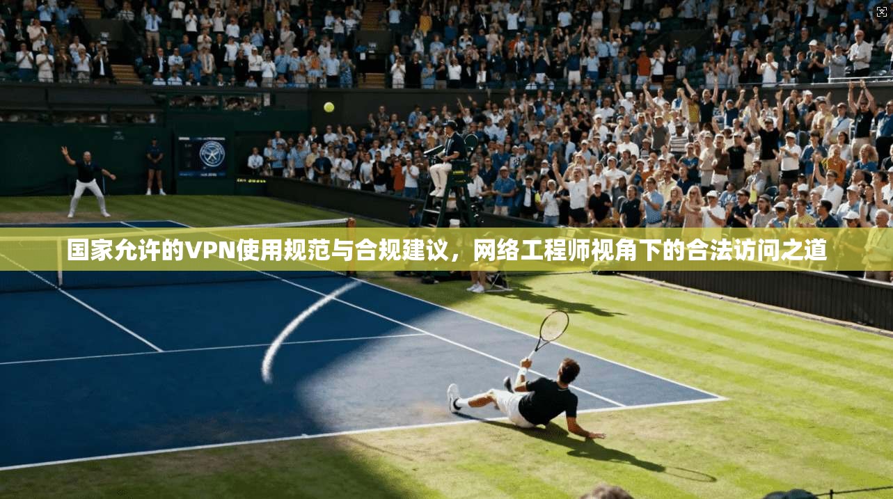 国家允许的VPN使用规范与合规建议,网络工程师视角下的合法访问之道 国家允许的VPN使用规范与合规建议,网络工程师视角下的合法访问之道
