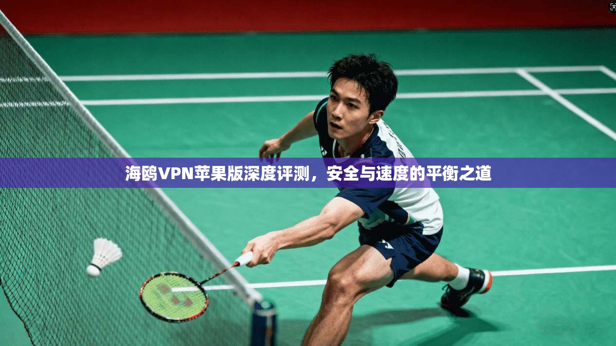 海鸥VPN苹果版深度评测，安全与速度的平衡之道