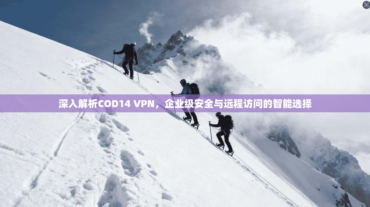 深入解析COD14 VPN，企业级安全与远程访问的智能选择