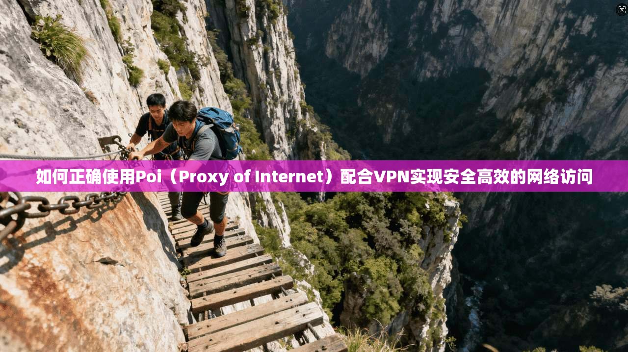 如何正确使用Poi(Proxy of Internet)配合VPN实现安全高效的网络访问 如何正确使用Poi(Proxy of Internet)配合VPN实现安全高效的网络访问