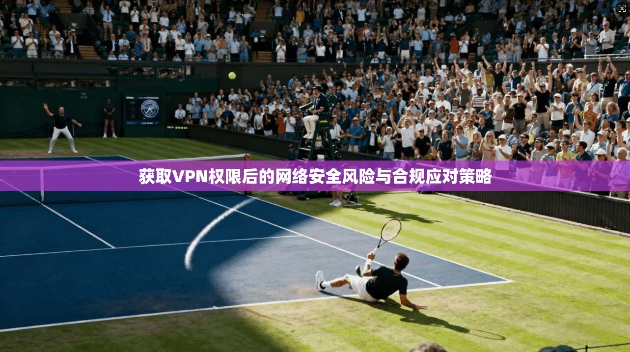 获取VPN权限后的网络安全风险与合规应对策略 获取VPN权限后的网络安全风险与合规应对策略