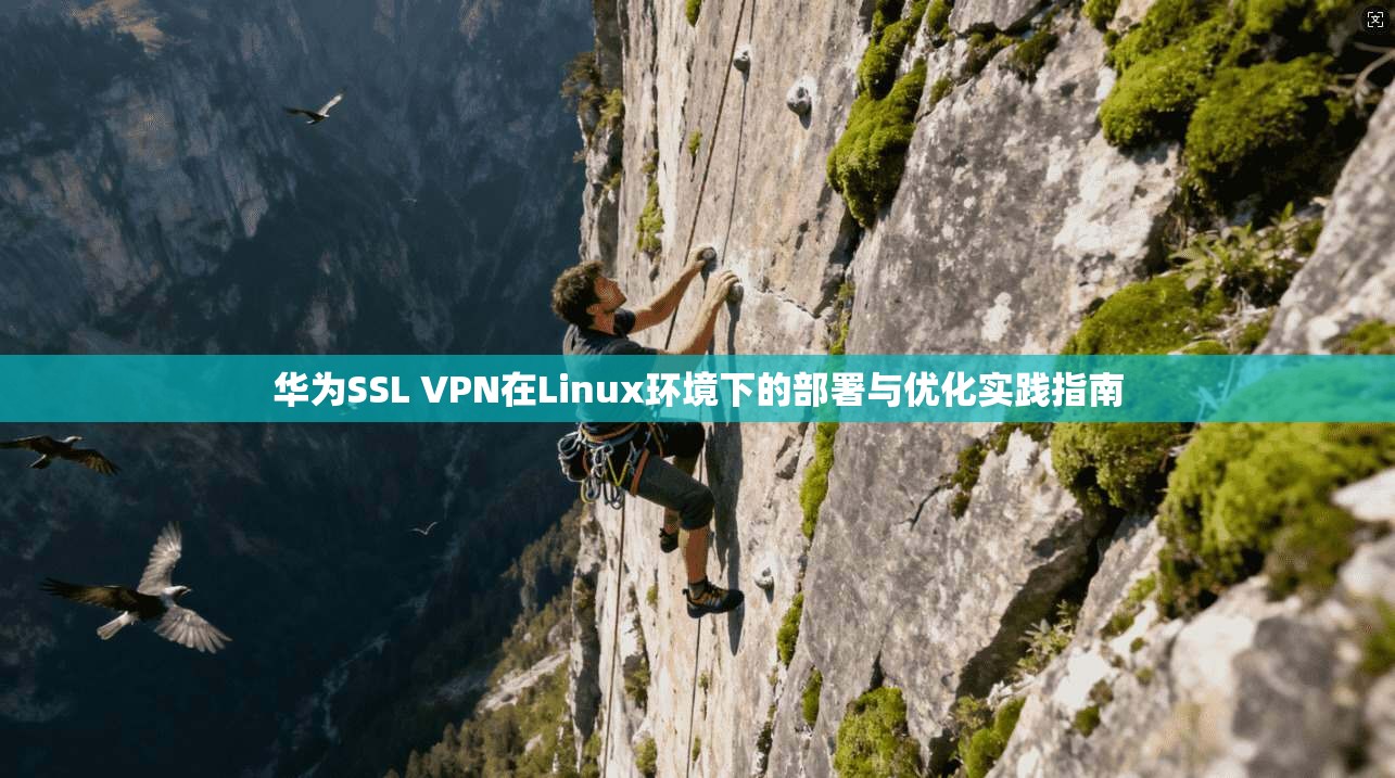 华为SSL VPN在Linux环境下的部署与优化实践指南 华为SSL VPN在Linux环境下的部署与优化实践指南