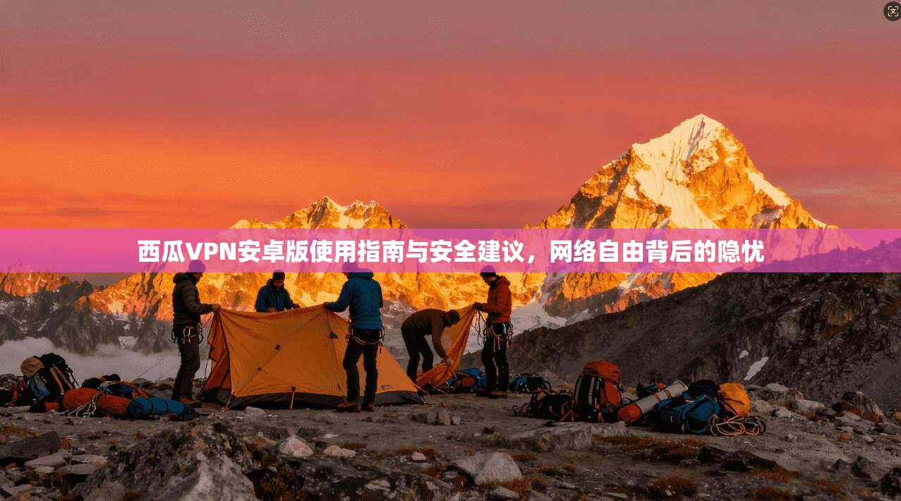 西瓜VPN安卓版使用指南与安全建议，网络自由背后的隐忧
