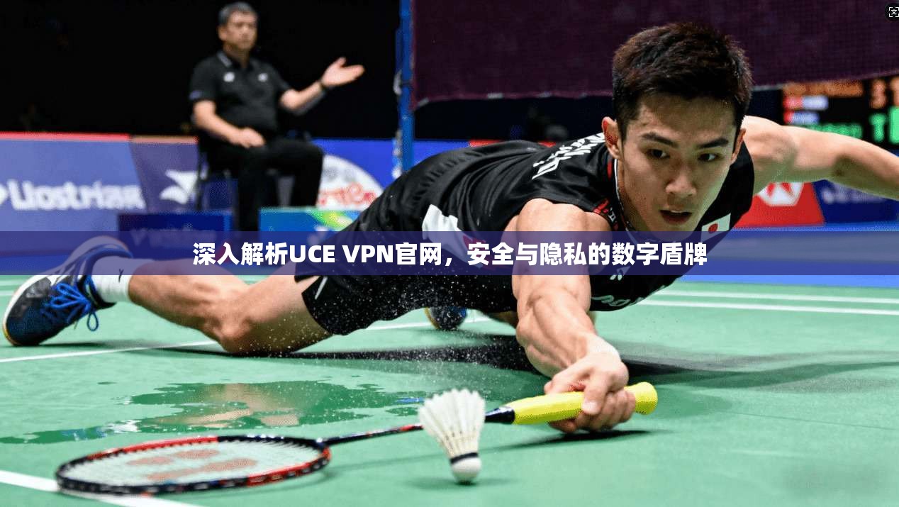 深入解析UCE VPN官网，安全与隐私的数字盾牌