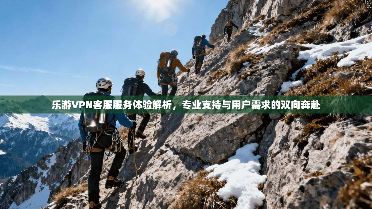 乐游VPN客服服务体验解析，专业支持与用户需求的双向奔赴