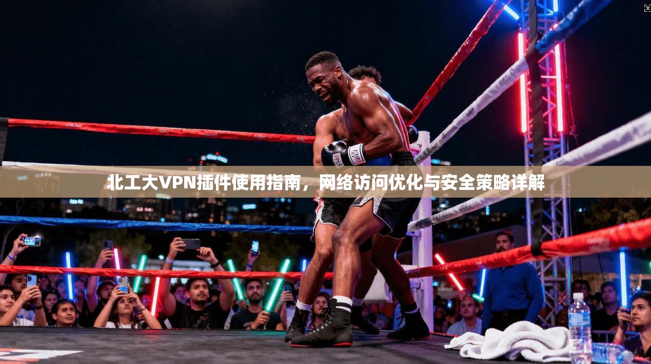 北工大VPN插件使用指南，网络访问优化与安全策略详解