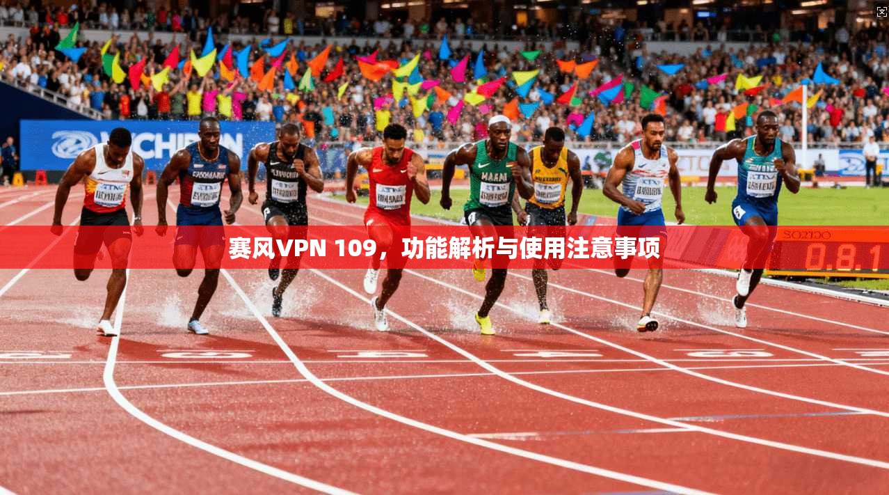 赛风VPN 109，功能解析与使用注意事项