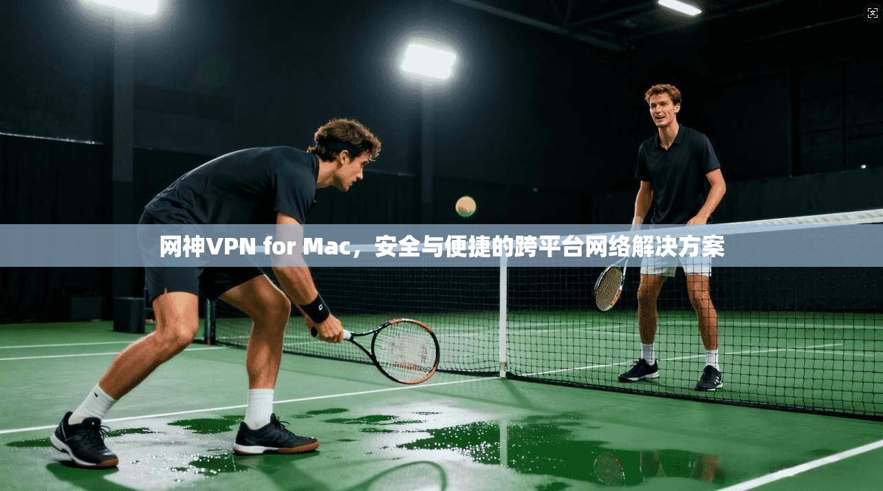 网神VPN for Mac，安全与便捷的跨平台网络解决方案