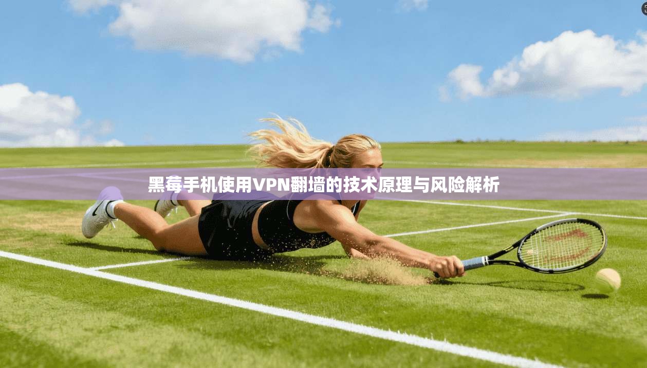 黑莓手机使用VPN翻墙的技术原理与风险解析 黑莓手机使用VPN翻墙的技术原理与风险解析