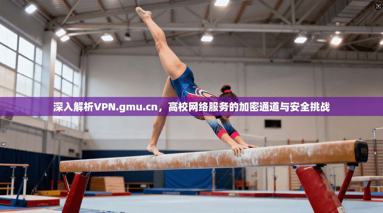 深入解析VPN.gmu.cn，高校网络服务的加密通道与安全挑战