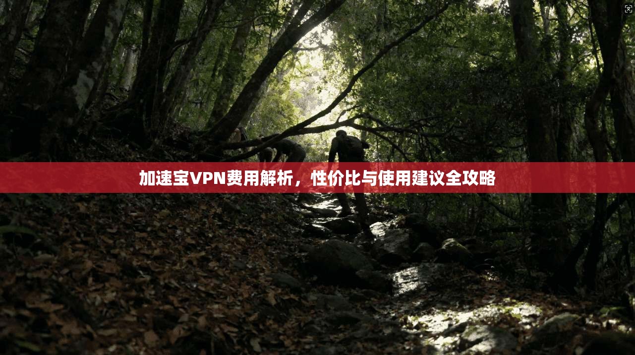 加速宝VPN费用解析,性价比与使用建议全攻略 加速宝VPN费用解析,性价比与使用建议全攻略