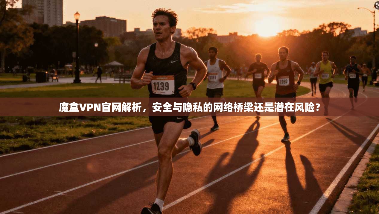 魔盒VPN官网解析，安全与隐私的网络桥梁还是潜在风险？