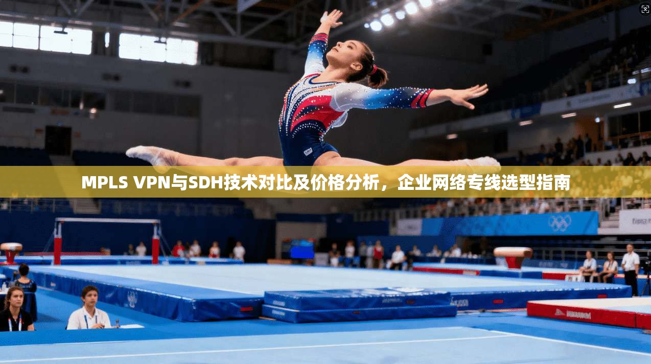 MPLS VPN与SDH技术对比及价格分析,企业网络专线选型指南 MPLS VPN与SDH技术对比及价格分析,企业网络专线选型指南