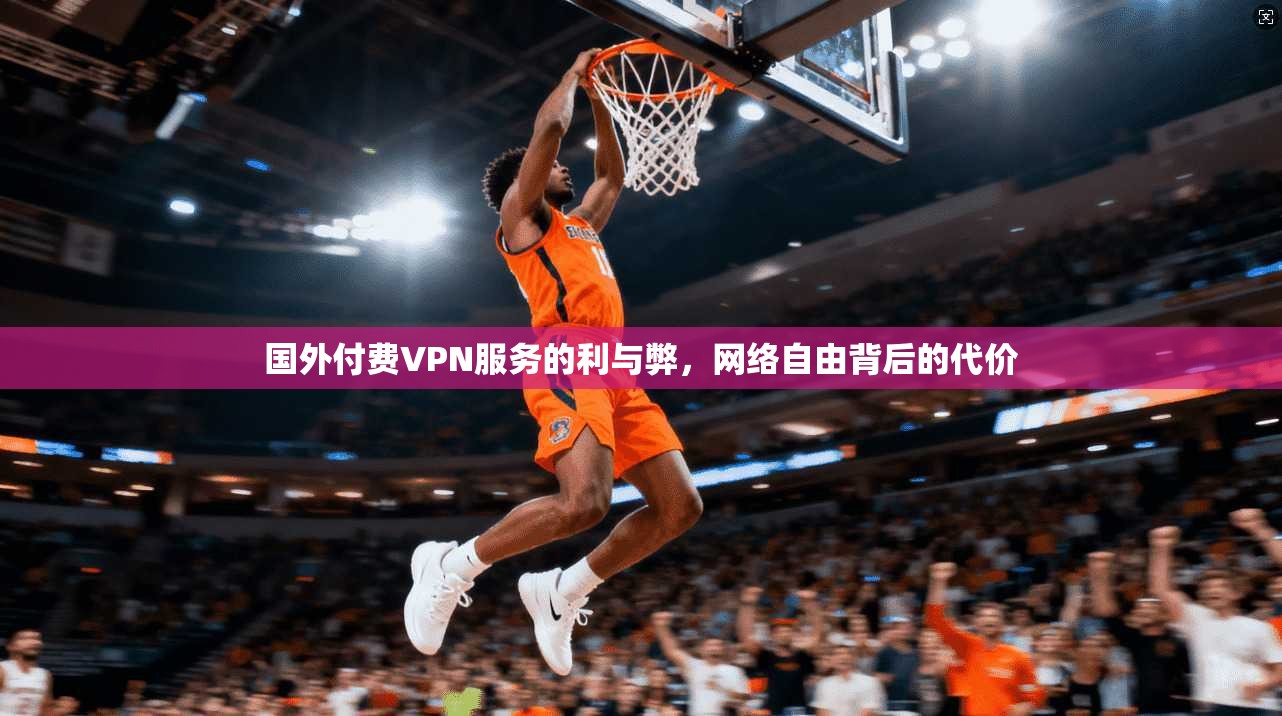 国外付费VPN服务的利与弊，网络自由背后的代价