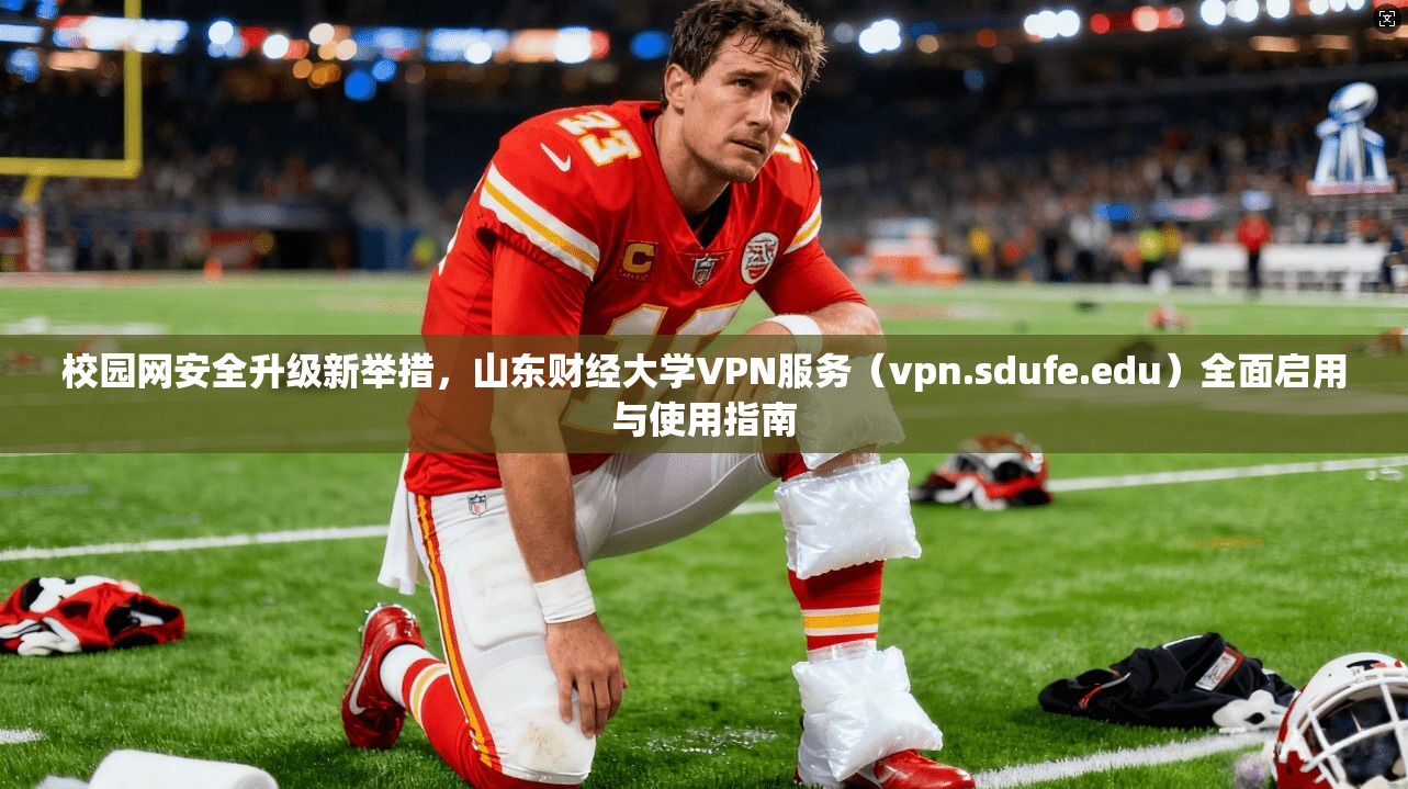 校园网安全升级新举措,山东财经大学VPN服务(vpn.sdufe.edu)全面启用与使用指南 校园网安全升级新举措,山东财经大学VPN服务(vpn.sdufe.edu)全面启用与使用指南