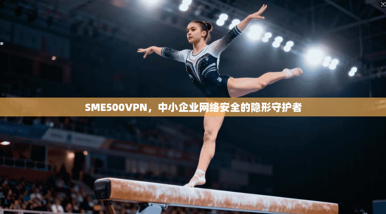 SME500VPN,中小企业网络安全的隐形守护者 SME500VPN,中小企业网络安全的隐形守护者