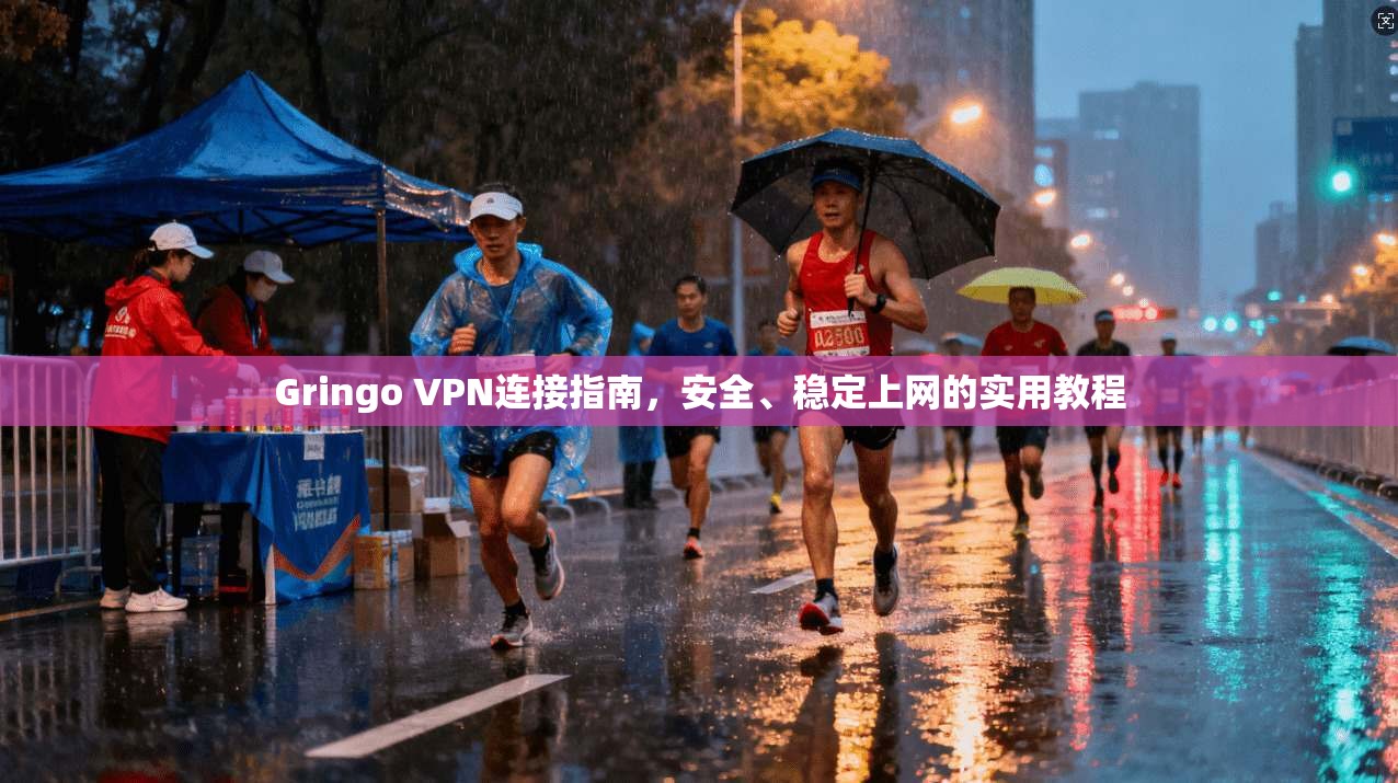 Gringo VPN连接指南,安全、稳定上网的实用教程 Gringo VPN连接指南,安全、稳定上网的实用教程