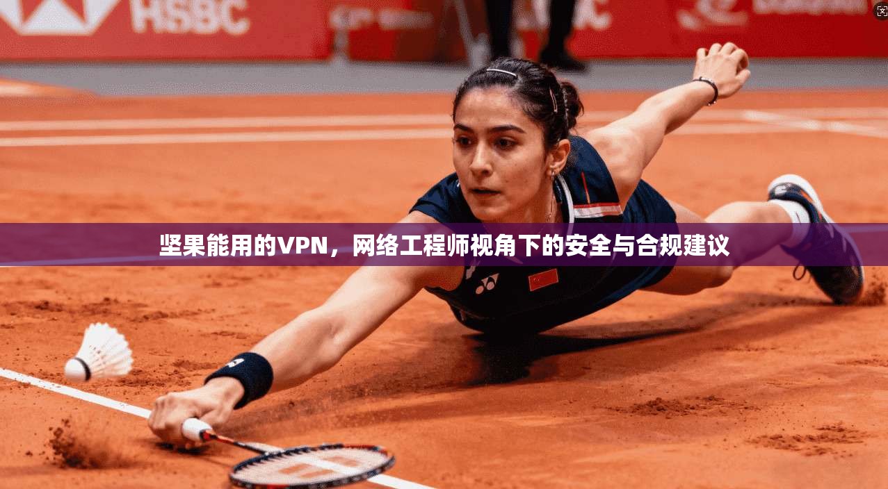 坚果能用的VPN，网络工程师视角下的安全与合规建议