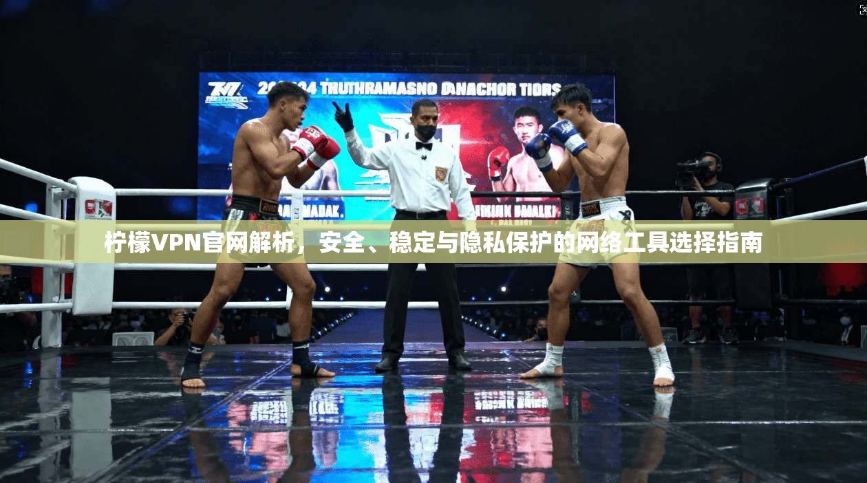 柠檬VPN官网解析，安全、稳定与隐私保护的网络工具选择指南