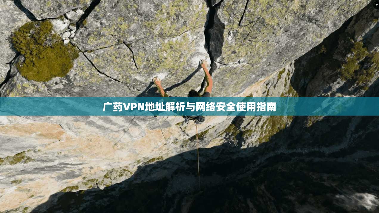 广药VPN地址解析与网络安全使用指南 广药VPN地址解析与网络安全使用指南