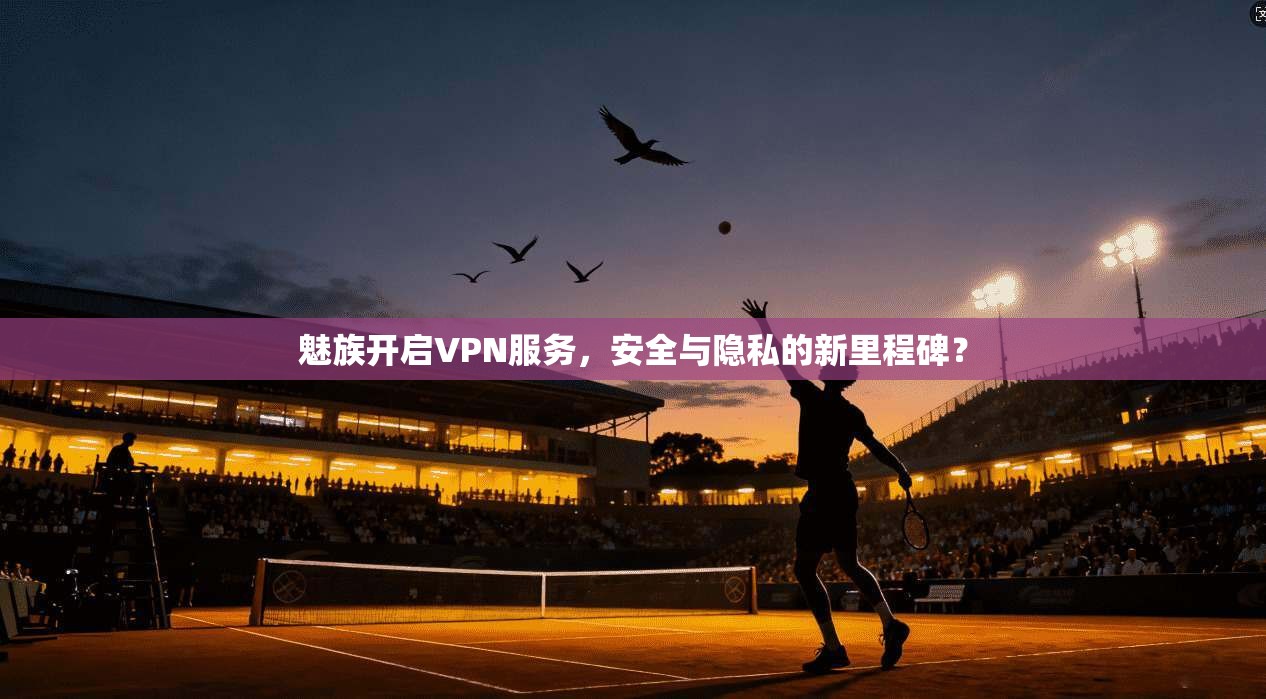 魅族开启VPN服务,安全与隐私的新里程碑? 魅族开启VPN服务,安全与隐私的新里程碑?