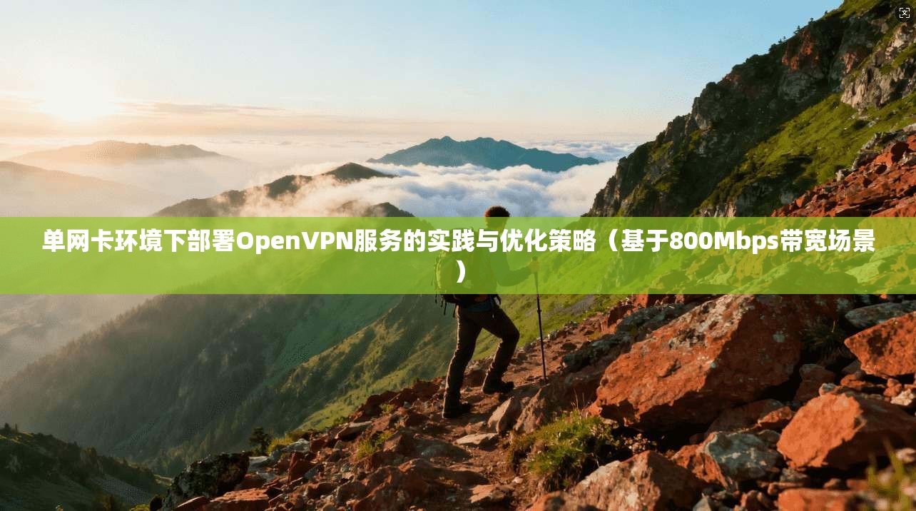 单网卡环境下部署OpenVPN服务的实践与优化策略（基于800Mbps带宽场景）