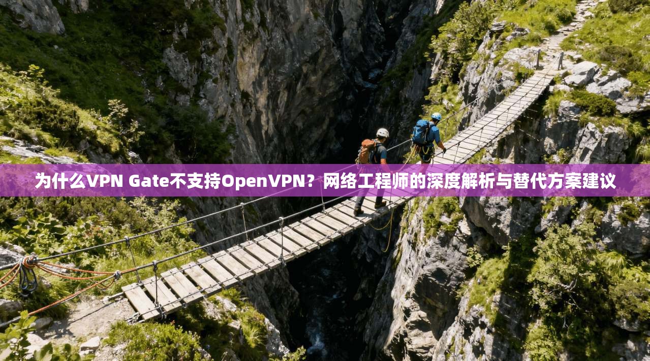 为什么VPN Gate不支持OpenVPN？网络工程师的深度解析与替代方案建议