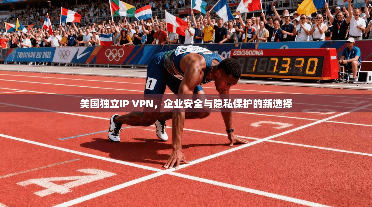 美国独立IP VPN,企业安全与隐私保护的新选择 美国独立IP VPN,企业安全与隐私保护的新选择