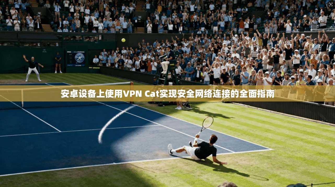安卓设备上使用VPN Cat实现安全网络连接的全面指南
