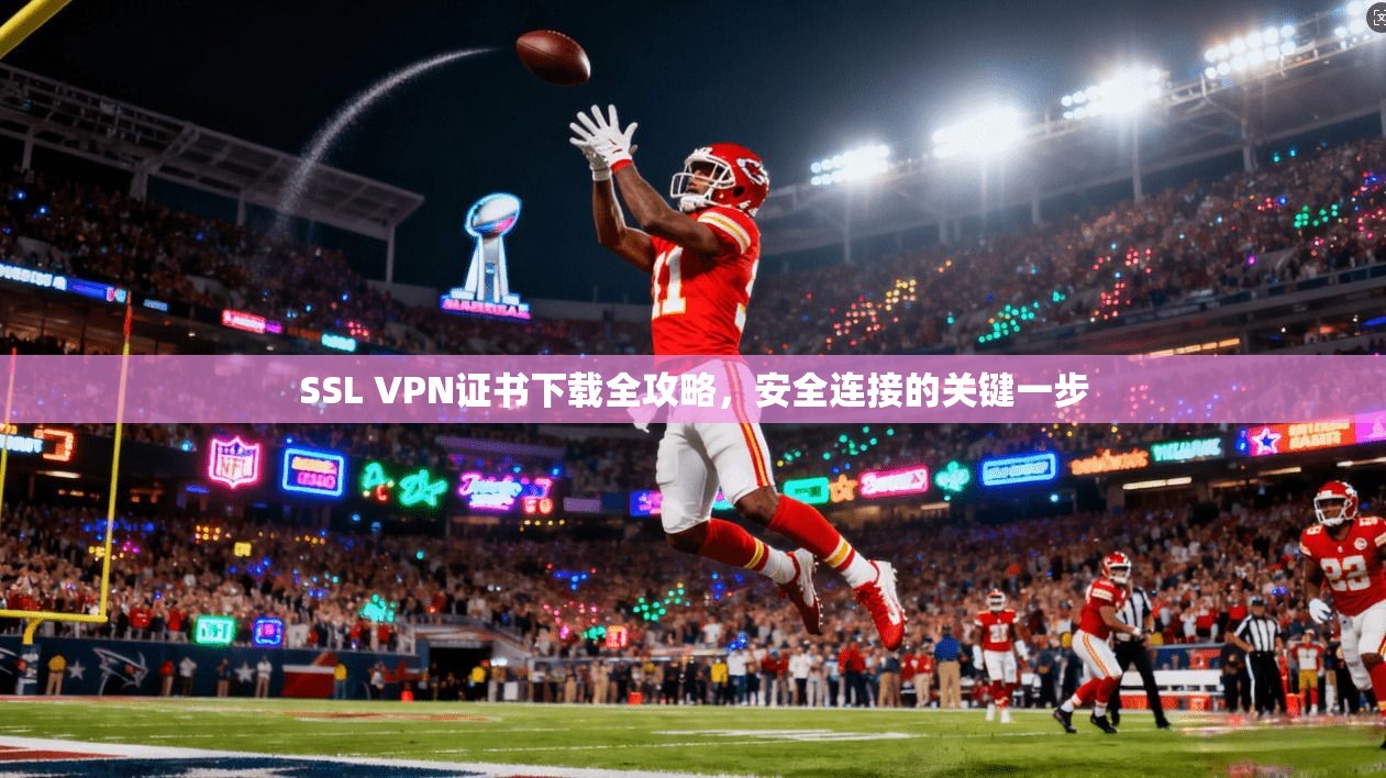 SSL VPN证书下载全攻略,安全连接的关键一步 SSL VPN证书下载全攻略,安全连接的关键一步
