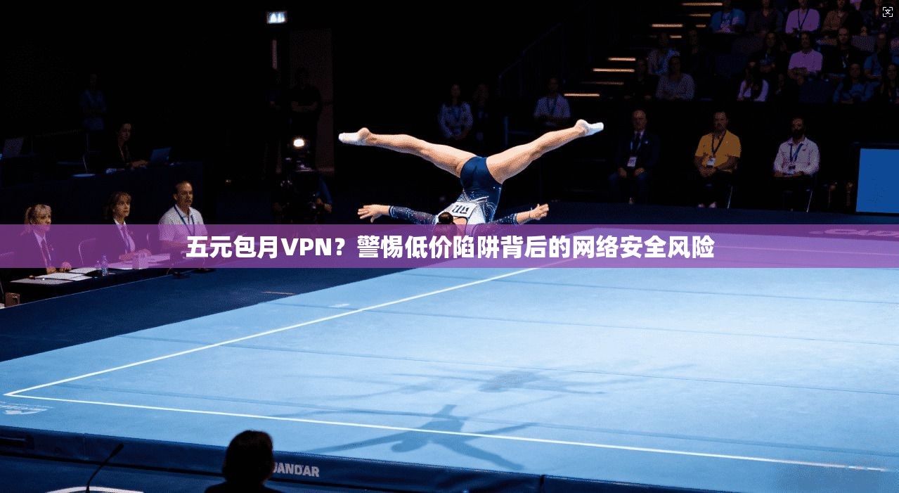 五元包月VPN?警惕低价陷阱背后的网络安全风险 五元包月VPN?警惕低价陷阱背后的网络安全风险