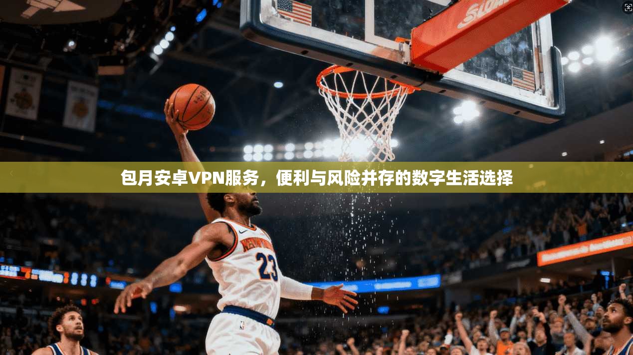 包月安卓VPN服务,便利与风险并存的数字生活选择 包月安卓VPN服务,便利与风险并存的数字生活选择