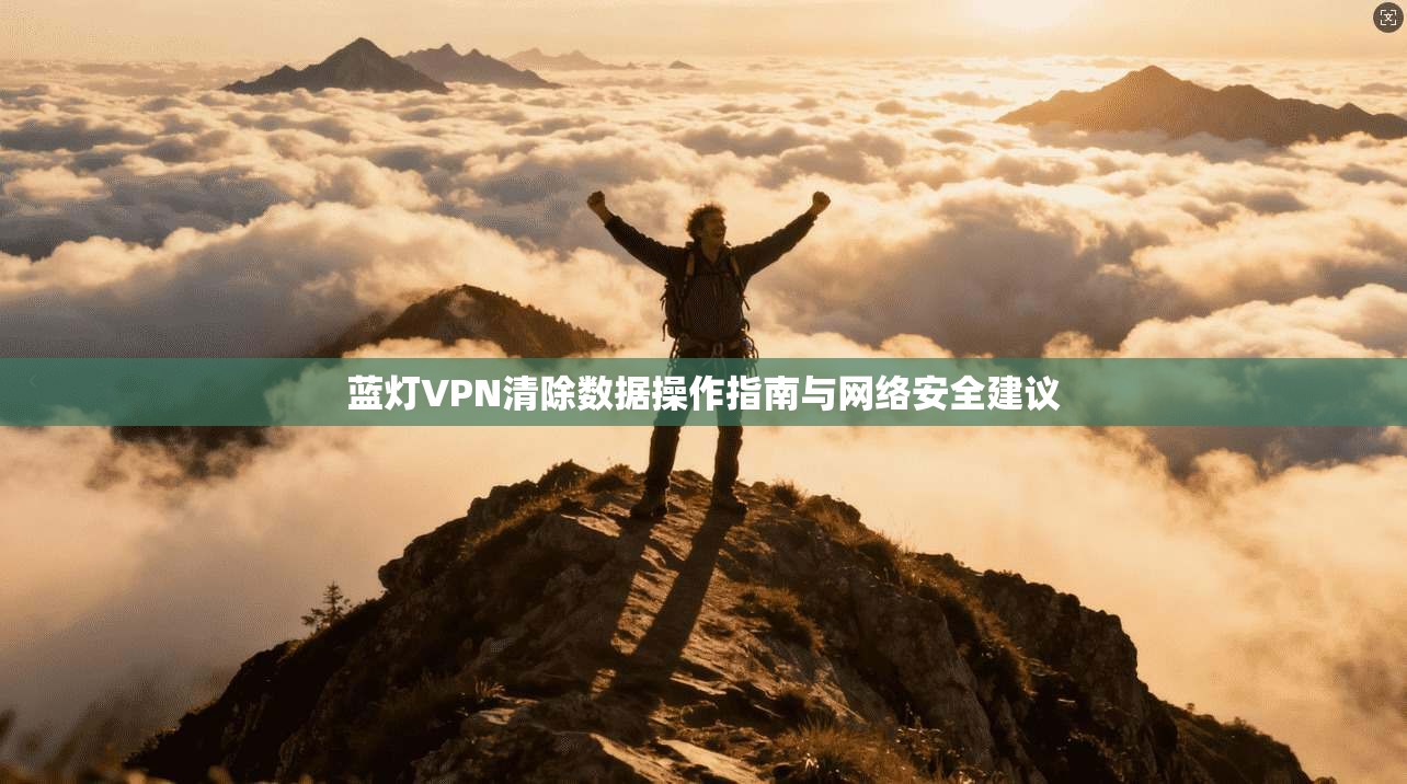 蓝灯VPN清除数据操作指南与网络安全建议