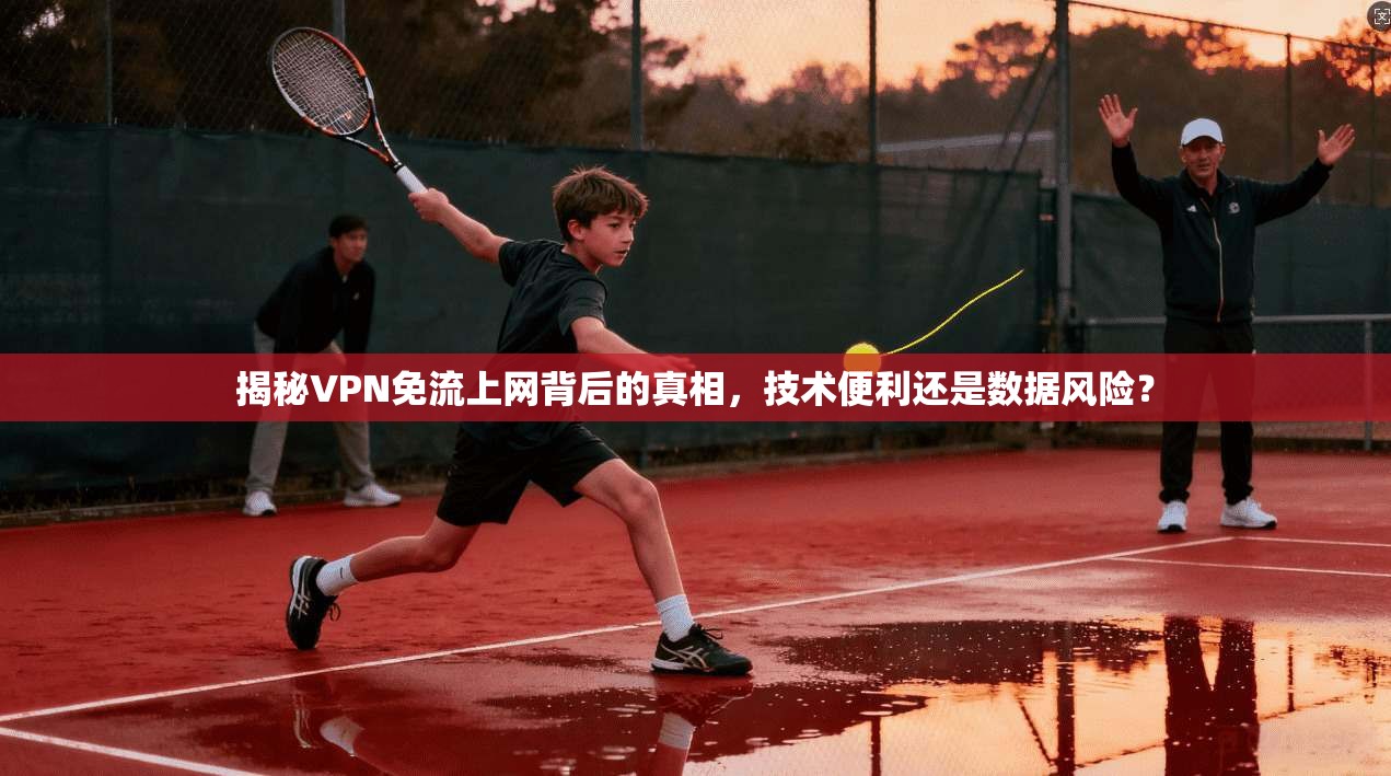 揭秘VPN免流上网背后的真相，技术便利还是数据风险？