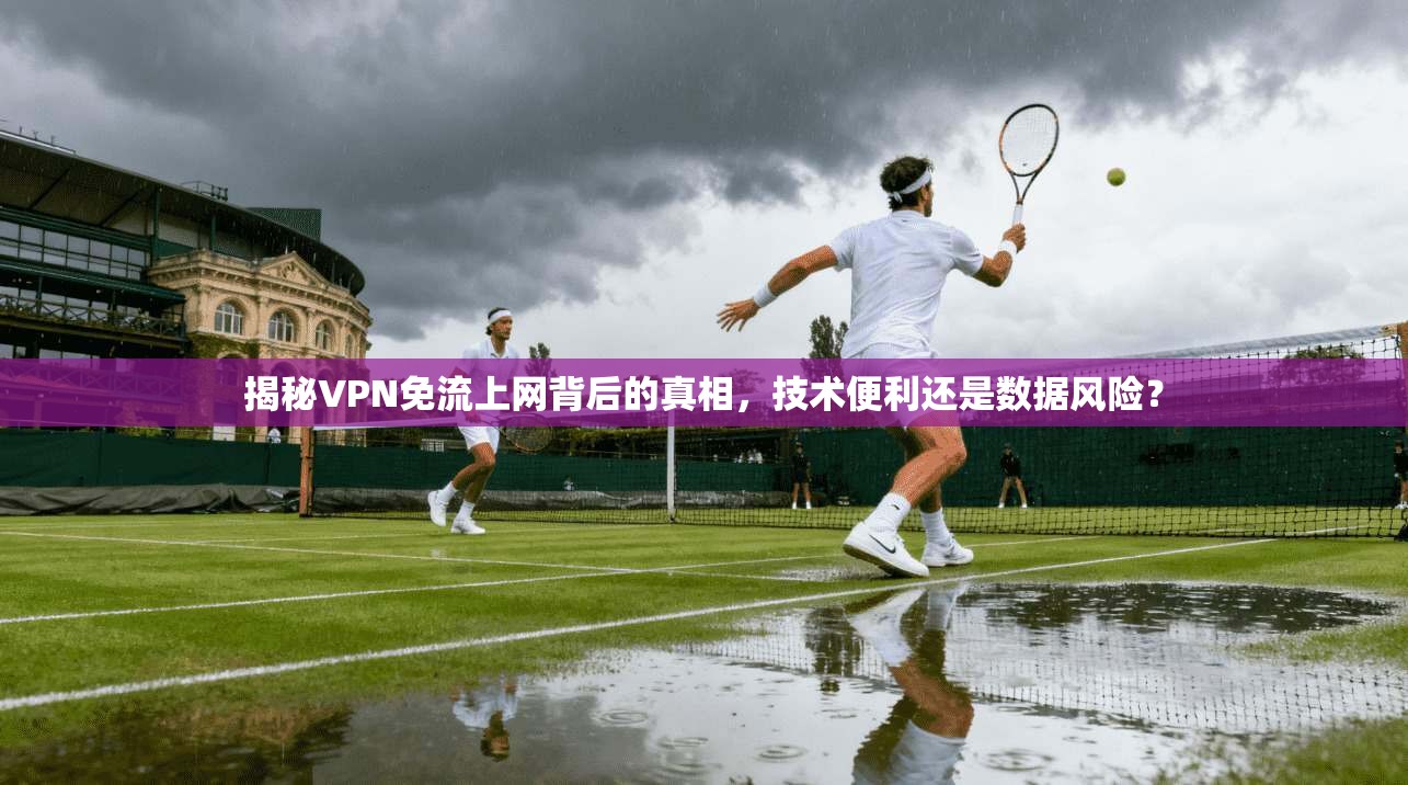 揭秘VPN免流上网背后的真相,技术便利还是数据风险? 揭秘VPN免流上网背后的真相,技术便利还是数据风险?
