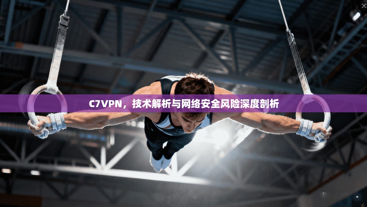 C7VPN,技术解析与网络安全风险深度剖析 C7VPN,技术解析与网络安全风险深度剖析